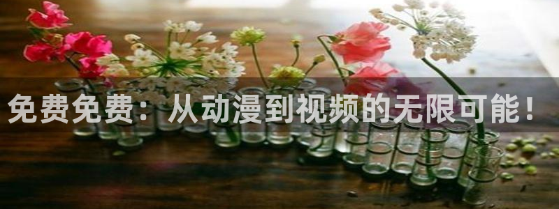 虫虫漫画51漫画网