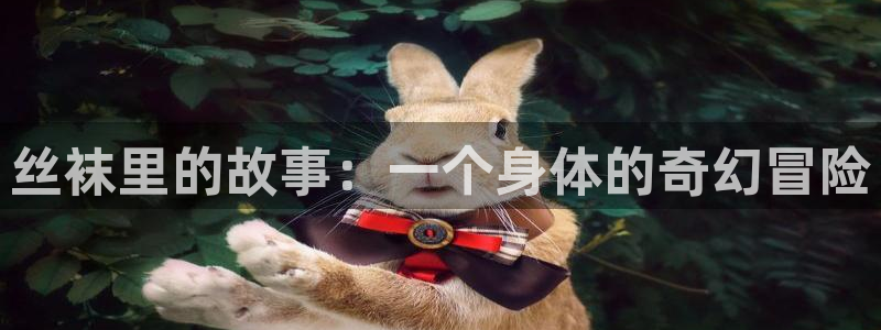 搞基软件51漫画